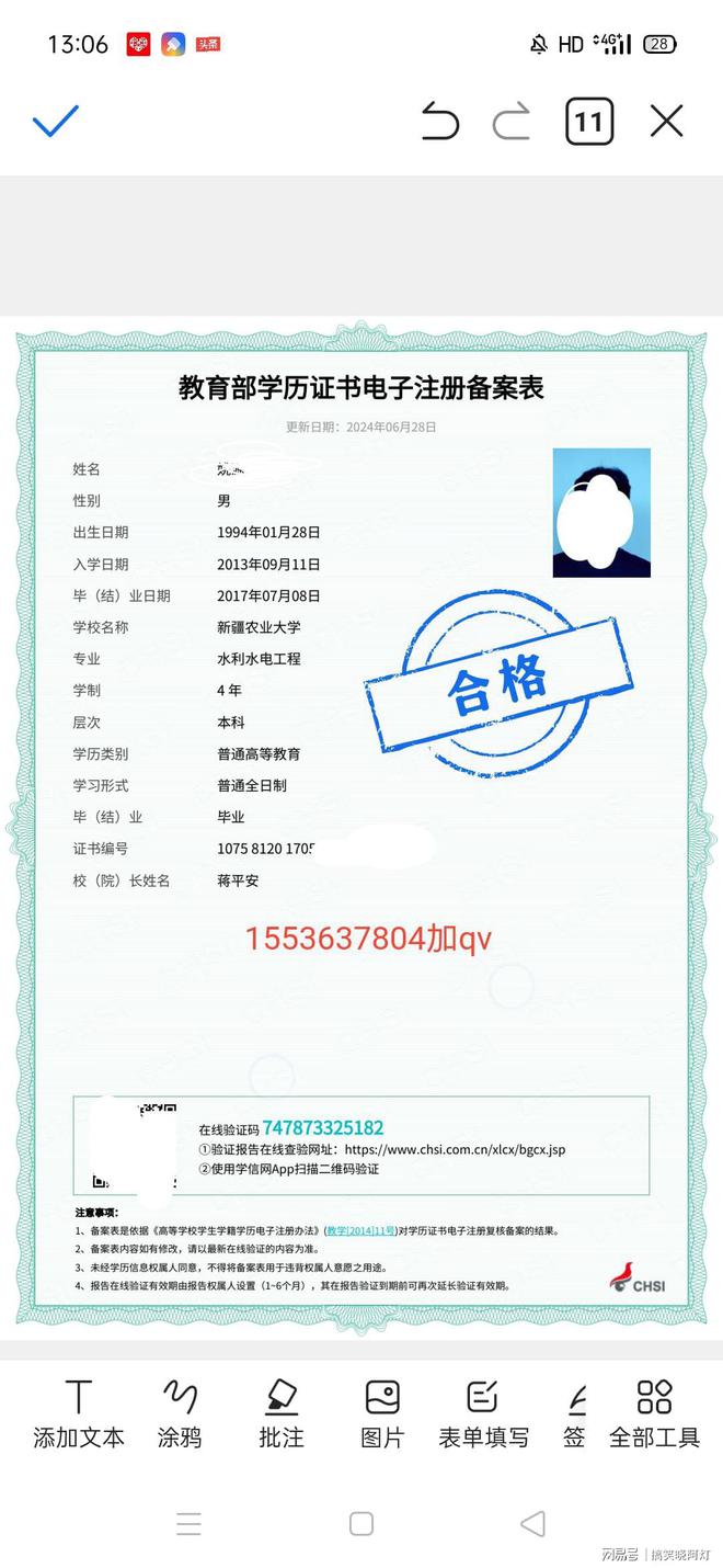 2024年学历与能力：职业成功的双引擎(图1)
