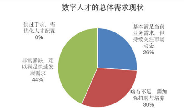 深度解读《2024数字人才白皮书》：透视数字人才困境与解决之道(图1)
