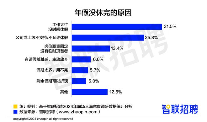 报告：2024年328%职场人全年无休556%没休完年假(图3)