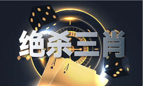 一肖二码默认版V
