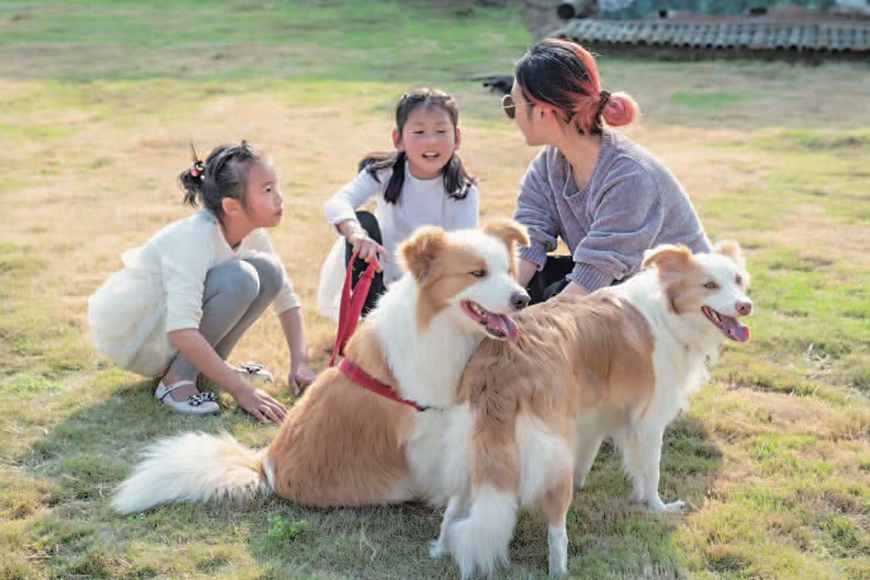 西充：宠旅融合点燃就业创业“新引擎”