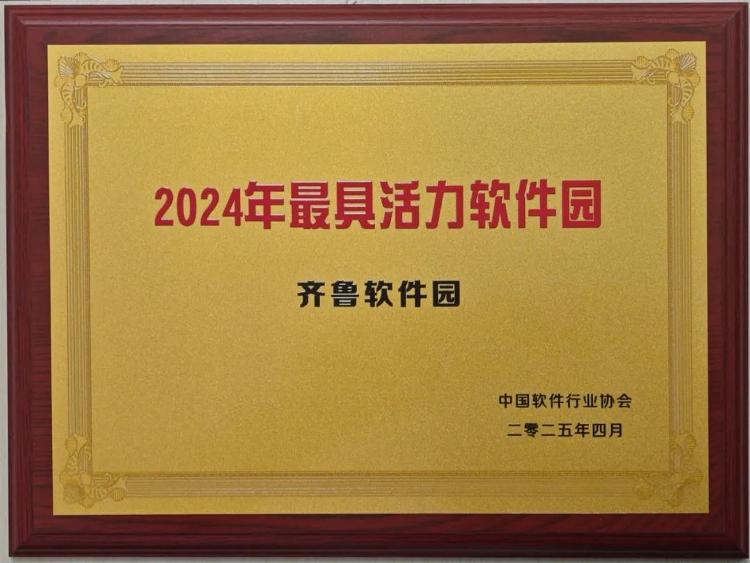 三十而立再获殊荣！齐鲁软件园跻身“202