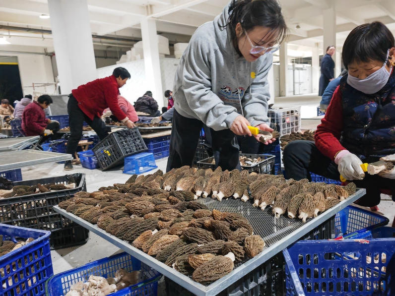 围绕高校毕业生就业创业看安徽财政如何打出