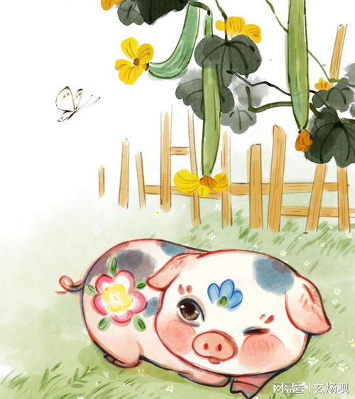 属猪5月运势如何（属猪五月份运势）(图3)
