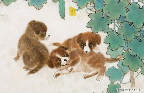 属狗每月运城运势如何（属狗人每月运势及运