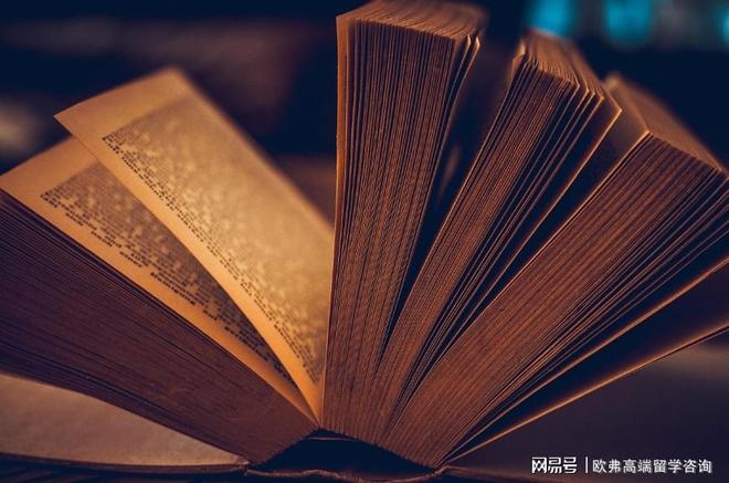从《2025职场人阅读报告》解码留学生的