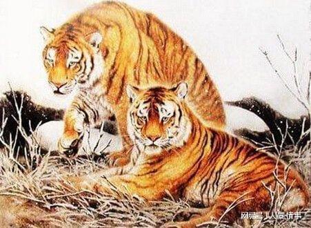 下半年财运迎来逆袭财富和福气加倍的生肖迎来上上签(图3)