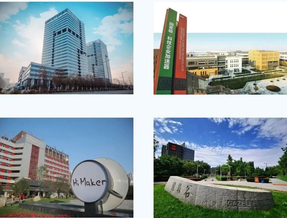 西安留创园：打造一片海创人才“热带雨林”(图5)