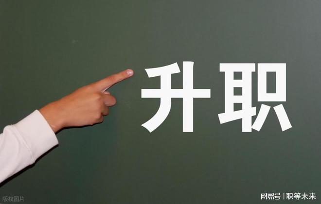 升职不再香：他们从“向上爬”到“向内求”转变正在改写职场规则(图3)