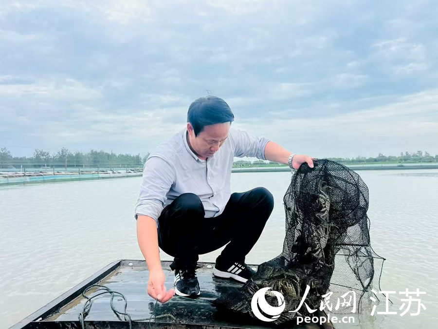 江苏泗洪：全民创业绽繁花