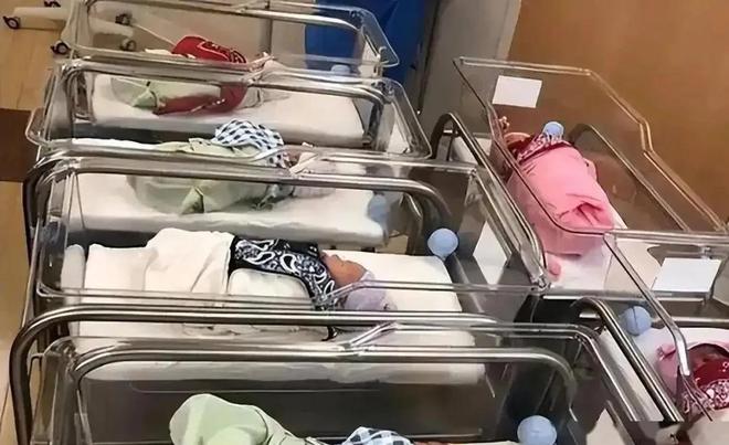 日本广东都是1亿多人日本上半年新生儿有34万广东让人意外！(图5)