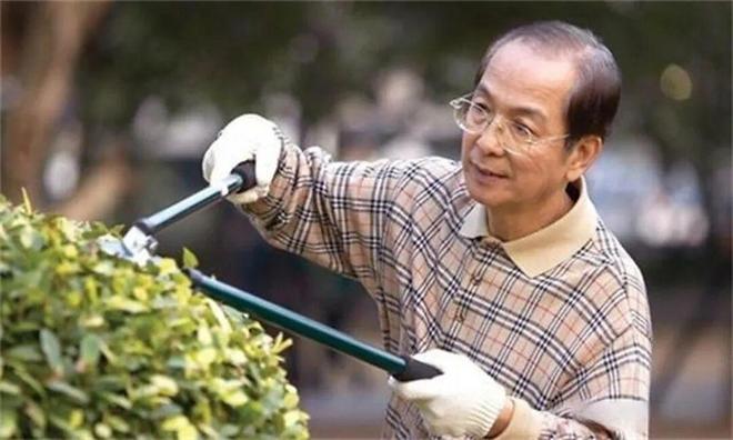 第二次人口红利来了？退休人员成“职场顶流”背后什么信号？(图5)