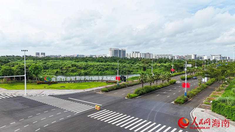 海口国家高新区“党建+”服务暖心护航伴企