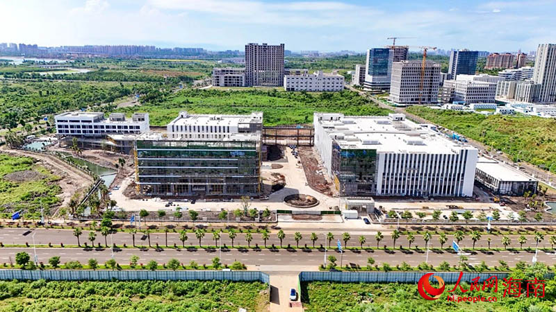 海口国家高新区“党建+”服务暖心护航伴企业(图3)