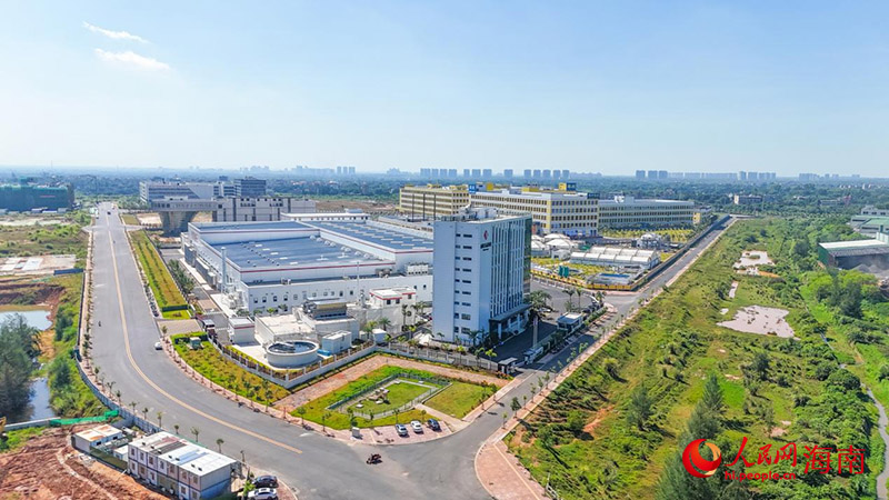 海口国家高新区“党建+”服务暖心护航伴企业(图6)