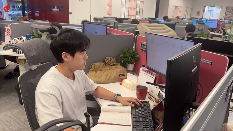海口国家高新区“党建+”服务暖心护航伴企业(图7)