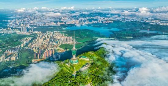 深圳罗湖：为企业家干事创业、为人才成就梦想搭建最优平台(图8)