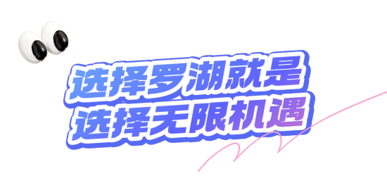 深圳罗湖：为企业家干事创业、为人才成就梦想搭建最优平台(图10)