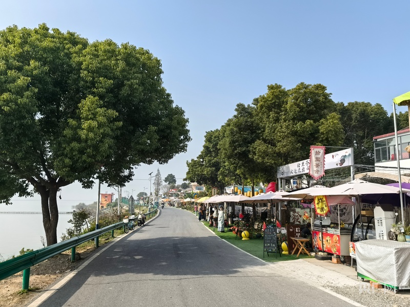 科创潮涌山水间合肥如何书写中部崛起的故事？(图4)