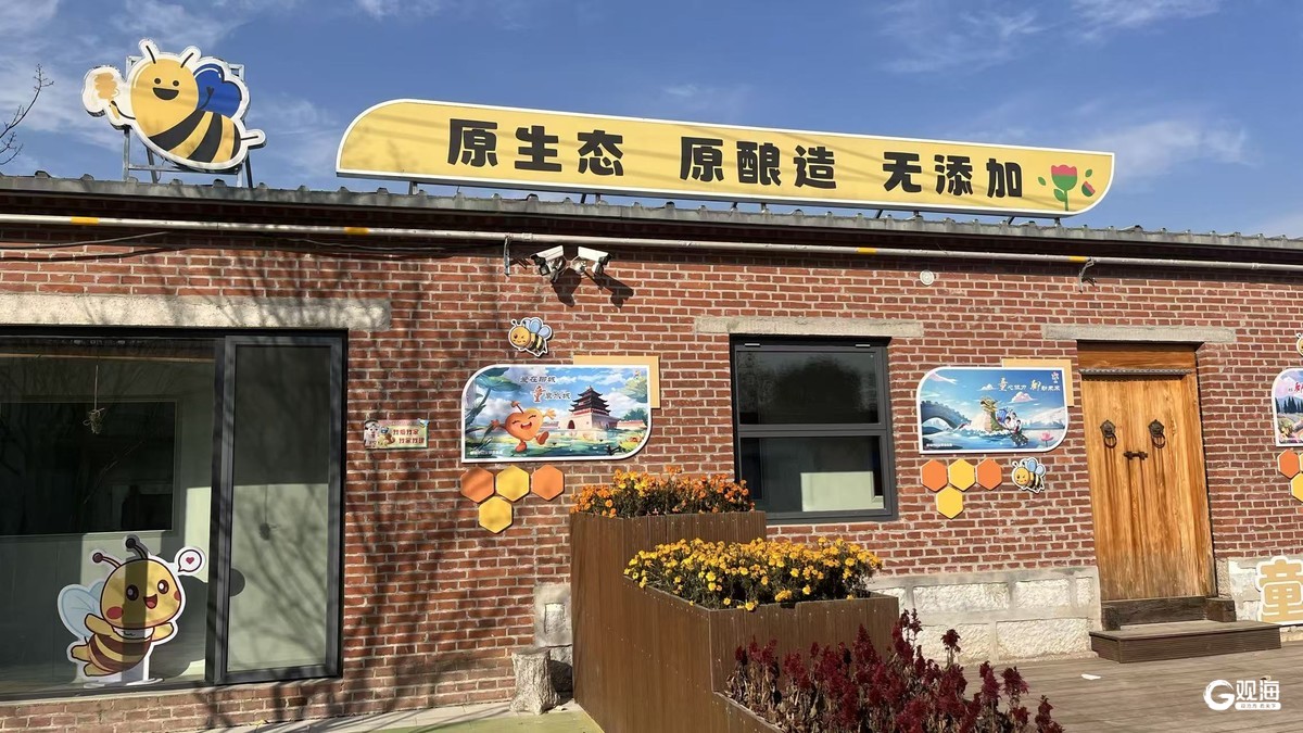 超百万人打卡这个镇“顾乡平野”何以磁吸青年创业？(图4)