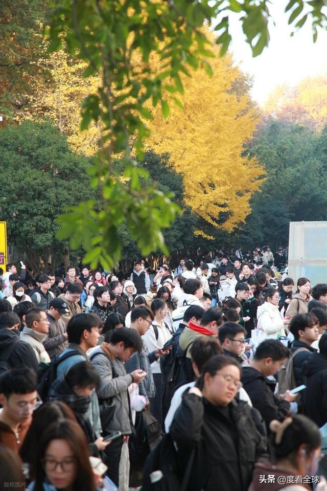 历史性破冰！国考首破35岁门槛371万人角逐背后是职场公平觉醒(图14)