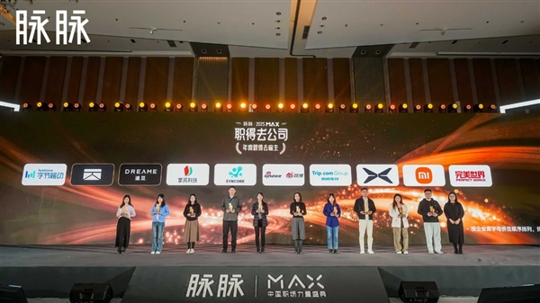 脉脉林凡：AI将推动组织从“人人都是程序员”到“人人都是CEO”(图5)