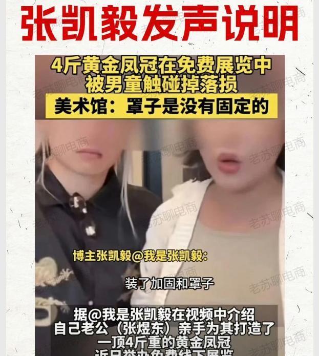 张凯毅的黄金凤冠被男童毁坏发文求助网友却被扒黑料掉粉30万(图12)