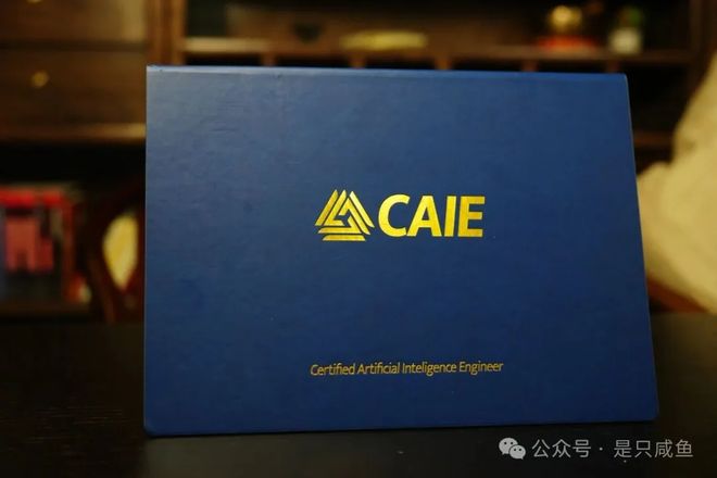 互联网AI岗位爆发：开发产品运维核心技能冲突与CAIE认证指南(图4)