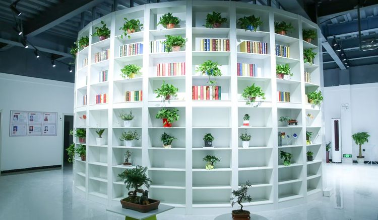 石家庄市栾城区：中辉创业孵化基地优化升级助力创业者腾飞