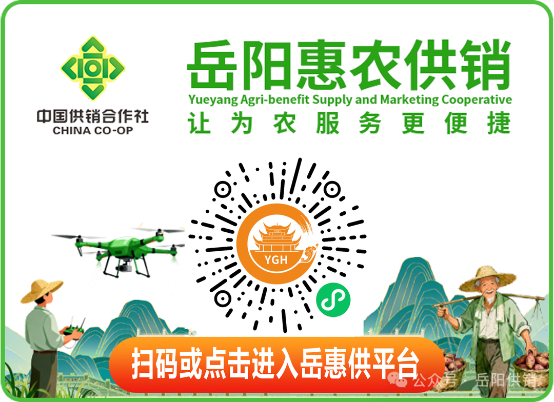 解码2026“国补”新政：撬动数码活力赋能家电升级