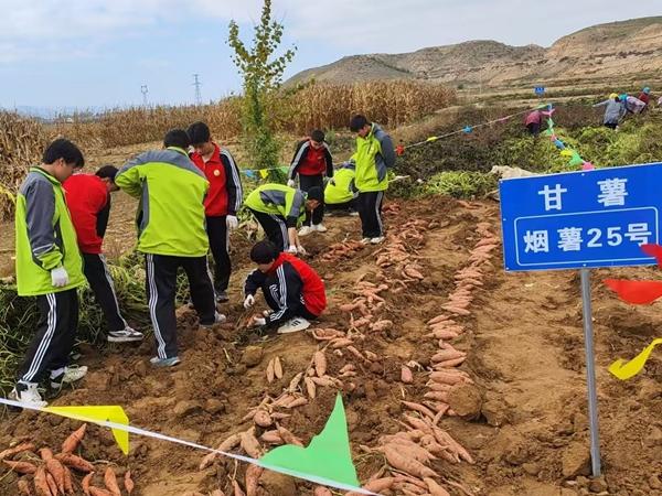 一所县城中职的转型路：“土”“洋”结合(图2)