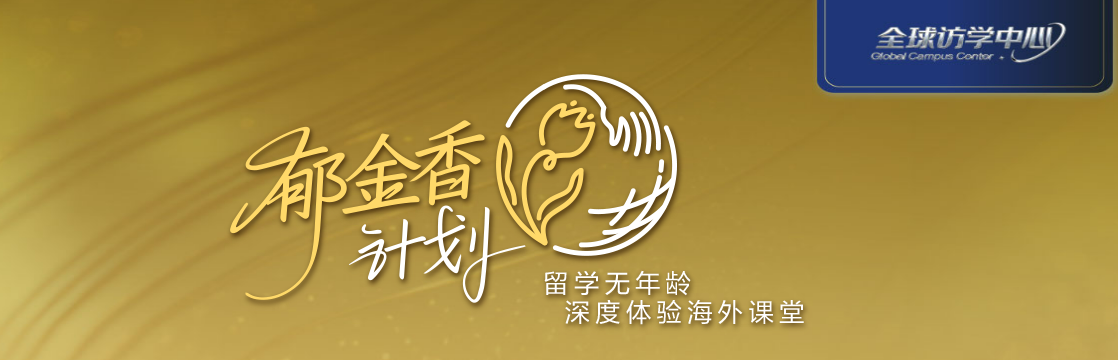 35+留学申请量暴涨：“微留学”项目正在吸引职场精英(图1)