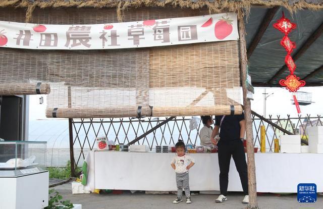 经济大省调研行丨浙江杭州：政企村农合力让农田“长”出新质生产力(图3)