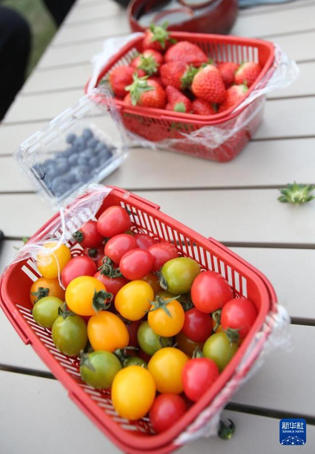 经济大省调研行丨浙江杭州：政企村农合力让