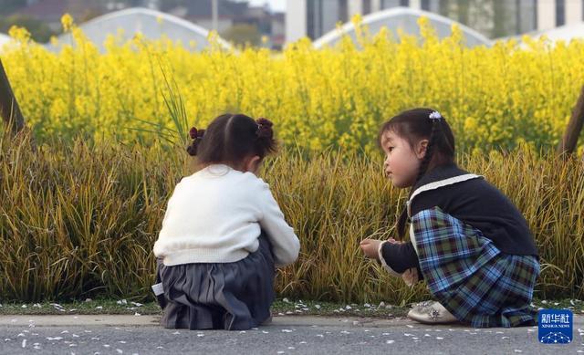 经济大省调研行丨浙江杭州：政企村农合力让农田“长”出新质生产力(图6)